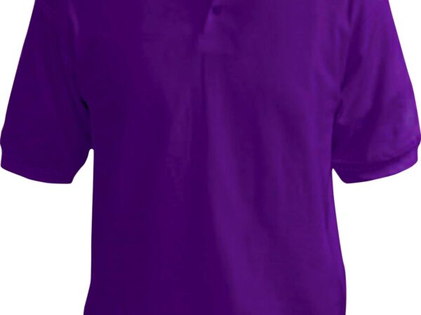 purple color polo tshirt in uae