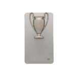Corporate gifts, Promotional gifts and giveaway, Awards and trophies, Triumph silver