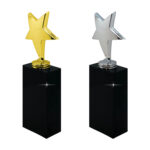 Gold and silver star trophies on black bases.