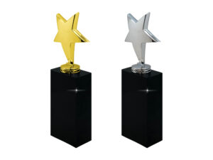 Gold and silver star trophies on black bases.