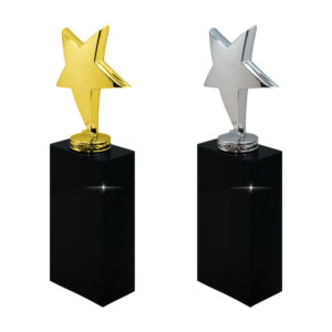Gold and silver star trophies on black bases.