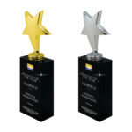 Gold and silver realtor awards with star design.