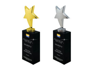 Gold and silver realtor awards with star design.