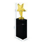 Gold star trophy on black base with dimensions.