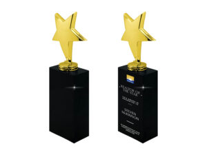 Gold star trophy on black base