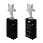 Silver star trophy on black base