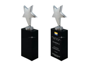 Silver star trophy on black base