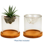 Glass planter set with bamboo base, no plant included.
