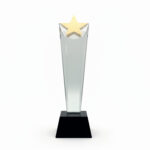 Crystal award with golden star on top
