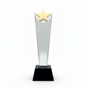 Crystal award with golden star on top