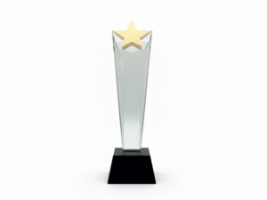 Gold star trophy on black base