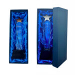 Blue box with star-shaped trophy inside.
