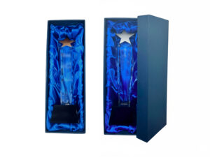 Blue box with star-shaped trophy inside.
