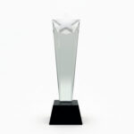 Glass star-shaped trophy on black base.
