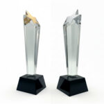 Two star-topped glass awards on black bases.