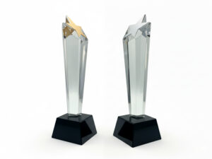 Two star-topped glass awards on black bases.