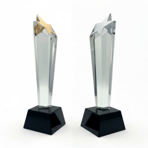 Two star-topped glass awards on black bases.